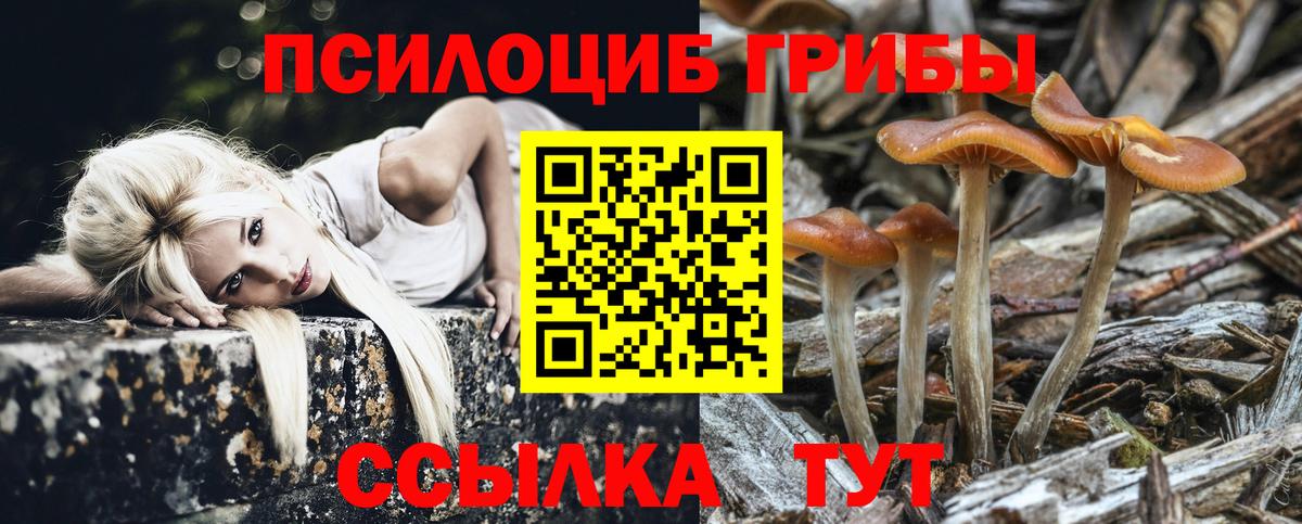 Балашиха  Галлюциногенные грибы GOLDEN TEACHER  Вход с VPN 